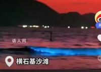 珠海一沙滩出现蓝眼泪奇观 蓝眼泪是怎么形成的
