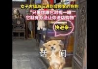女子古镇游玩遇到会揽客的狗狗 只要你跟它对视一眼它就有办法让你进店购物