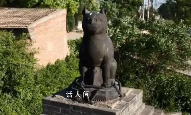 山西铁猫寺被称为“猫猫教总部” 回应：县文保单位