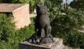 山西铁猫寺被称为“猫猫教总部” 回应：县文保单位