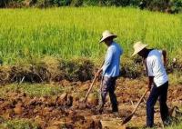 为什么年轻人不愿意种地?官方调研