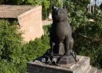 山西铁猫寺被称为“猫猫教总部” 回应：县文保单位