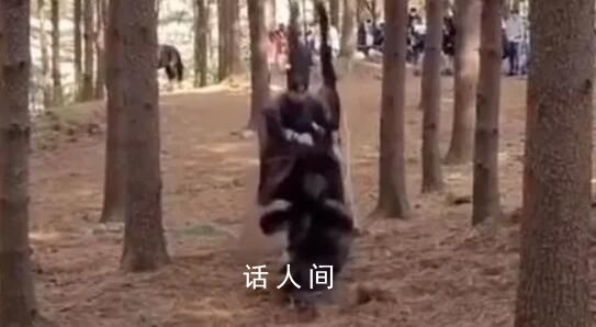 韩国剧组虐马致死被罚 处以KBS电视台及相关工作人员罚金