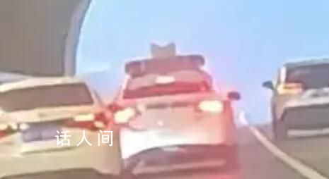交警冒死挡停时速130失控汽车 成功救出小车司机