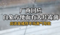 厂商回应白象方便面有大片霉菌 极有可能源自于产品的储存环节