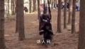 韩国剧组虐马致死被罚 处以KBS电视台及相关工作人员罚金