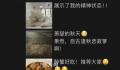 男子每天发多条朋友圈 女友想分手