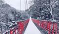 四川蒙顶山景区“一夜白头” 千亩茶园千年古树都已换上了银装
