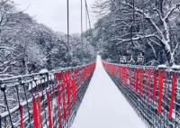 四川蒙顶山景区“一夜白头” 千亩茶园千年古树都已换上了银装