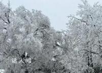 张家界迎来2024年首场大雪 游客们尽情享受冰雪的乐趣
