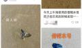 三亚沙滩现多起剧毒水母伤人事件 不过并不严重