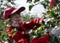 行走百县话振兴 吴起焕发别样生机