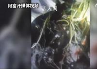 阿富汗失事飞机及生还者图像公布 机上6人中2人已确认死亡其余4人生还