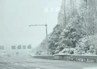 成都好大的雪 本地人：兴奋值达到了顶峰