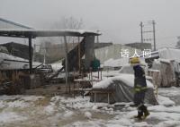 湖南暴雪已致1万多人受灾 农作物受灾也有4800公顷