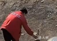 烟花发射后一路追踪人到屋里 网友：这太危险了