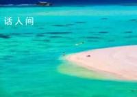 泰国搜索热度比前一天增长超7倍 今年1月赴泰游客量中国位居第一