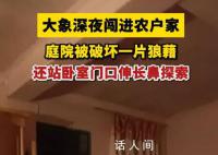 村民深夜熟睡被大象撞开卧室门 正伸着长鼻在门口来回探索