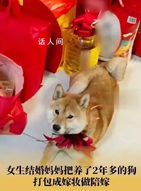 妈妈将养2年狗狗打包作女儿嫁妆 网友：这份嫁妆相当炸裂了