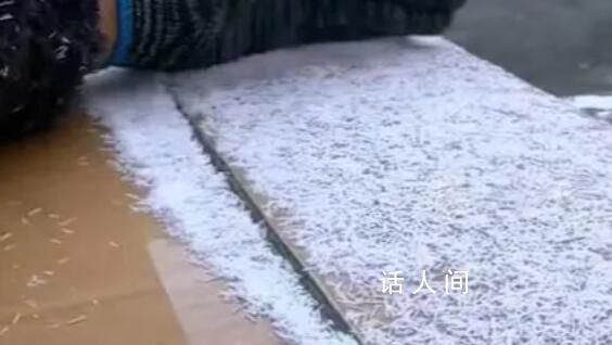 安徽一女子拍下罕见“冰针”雪 专家称：是针状雪学名冰针