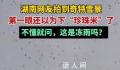起猛了看湖南下雪还以为天上掉大米 一粒粒雪从空中坠落
