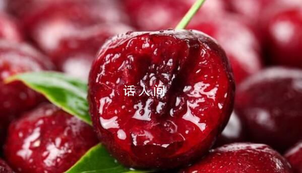 车厘子价格跌至每斤20元 价格再度跳水