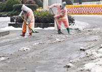 一场冻雨大雪为何压断了那么多树 北方与南方的雪有何不同?