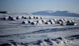 蒙古国进入防灾高度戒备状态 极寒冰雪天气已致蒙古国50多万头牲畜死亡