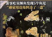 游客168元点一份鱼发现5条鱼尾 感觉用边角料凑了一盘