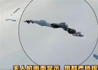 新疆狼群在积雪下挖出一条路 拍下罕见的画面