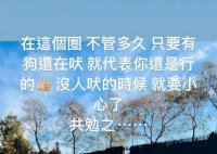 周杰伦:有狗还在吠代表你还是行的 疑似回应看霉霉演唱会争议