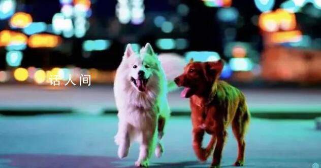 Sora的潘多拉魔盒里有什么 世界模型提前实现了吗