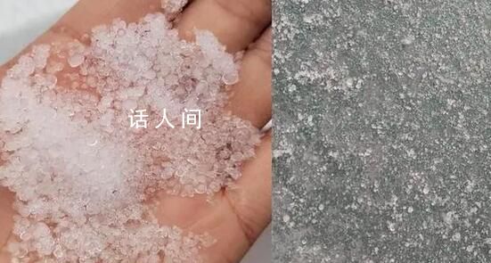 郑州下“大米粒”冰雹雨 清雪工作仍在紧张有序进行中
