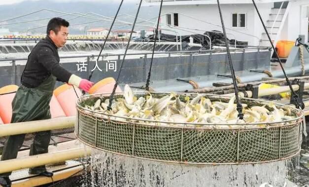 耕海而作,向海而兴