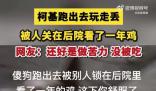 柯基跑丢后被人关鸡棚看了一年鸡 觉得很幸运它还在最后带回家了