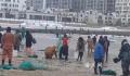 海边发生多起捞海肠溺水事件 有人冒险下海打捞