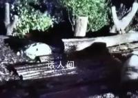 花花被遗忘外场 饲养员被解雇