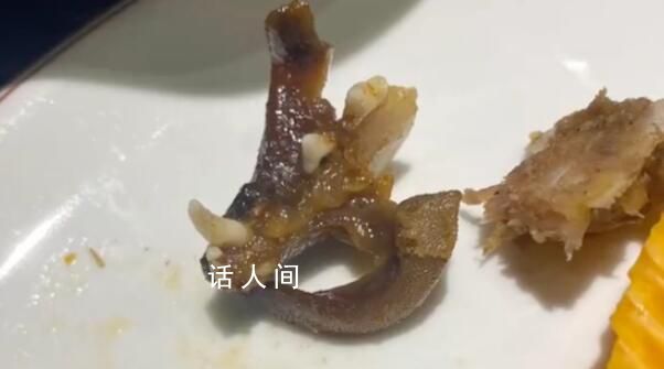 顾客疑在干锅兔肉里吃出猫头 店家称已联系供应商将从源头调查