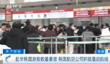 赴华韩国游客数量暴增900% 张家界颇受韩国游客青睐多为家庭出行