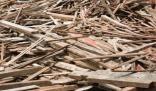 日本计划利用废木材生产乙醇 计划自2027年开始量产