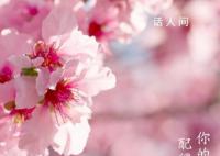 今年2月有29天 祝你生活甜蜜逢考必过