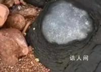 专家辟谣青岛三浴海边有火山蛋 这些石头是火成岩