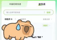 新规首日 你的包裹送上门了吗?