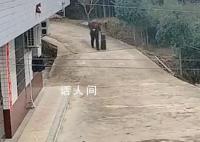 退伍军人独自归家 网友暖心留言