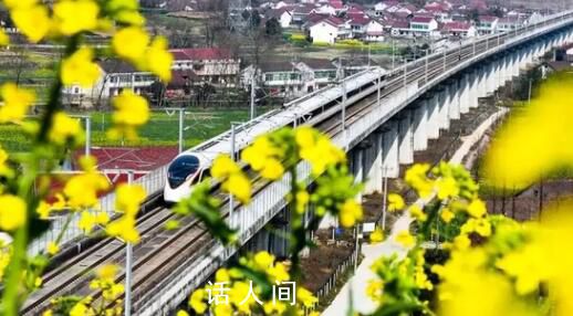 坐着高铁“慢”赏花 成为今年春游赏花的新时尚