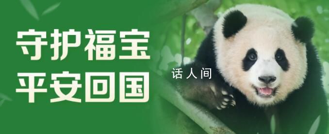 一起接福宝回家 接下来又会在哪里生活? 