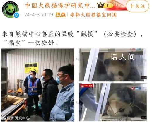 官方回应福宝被人不戴手套戳 系兽医专家查体已提前消毒