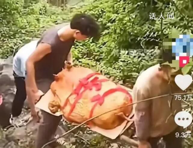 华南F3又开始拜山祭祖了 网友们纷纷发布翻山越岭拜山祭祖的视频
