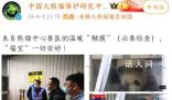 官方回应福宝被人不戴手套戳 系兽医专家查体已提前消毒