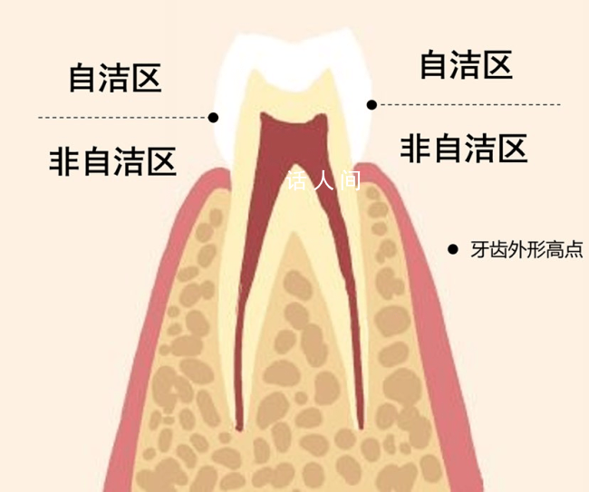 刷牙最该刷的其实不是牙齿 你真的会刷牙吗？